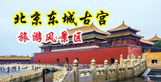 美妇饥渴难耐中国北京-东城古宫旅游风景区